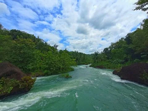 River in the mountains with dense trees Stock Photos