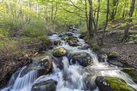 A river in the mountains during springtime Foto stock