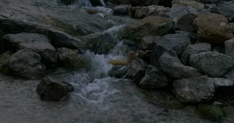 River in the mountains. Stock Footage 65995005