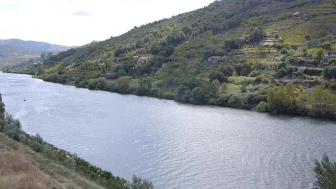 River in the mountains. Stock Footage 80248833