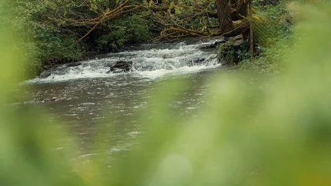 River in the mountains Stock Footage 109060852