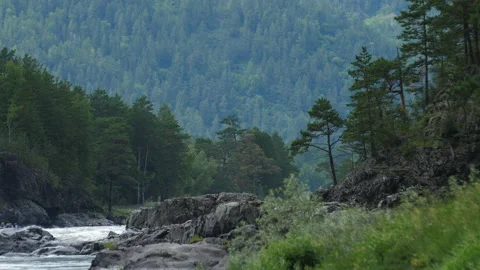 River in the mountains Stock Footage 203901628