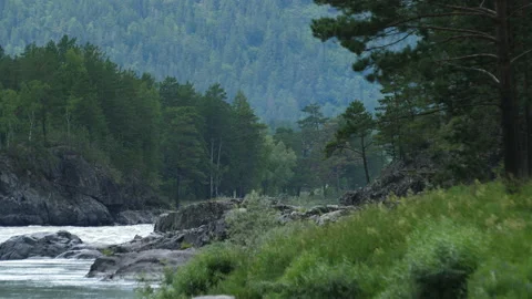 River in the mountains Stock Footage 204106734