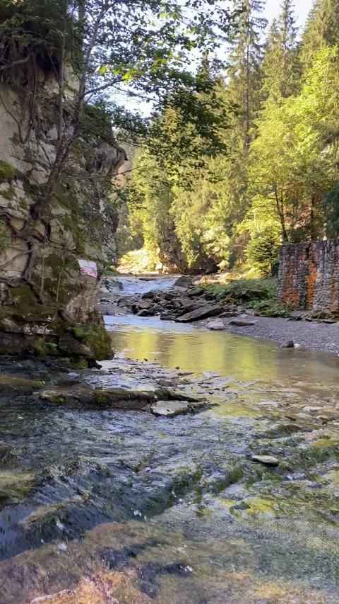 River in the mountains Stock Footage 226171878