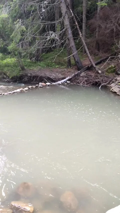 The river in mountains forest Video stock 169222211