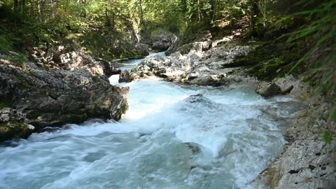 A river in the mountains in a forest Video stock 260867379