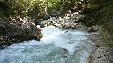 A river in the mountains in a forest Video stock 260868452