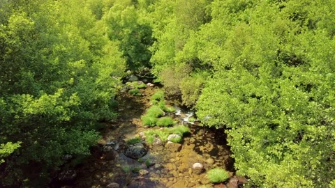 River in the mountains. Fresh and clear water flowing through rocks. Nature park Stock-Footage 156034005