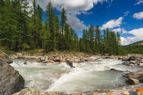 River in the mountains. landscape. Stock Photos