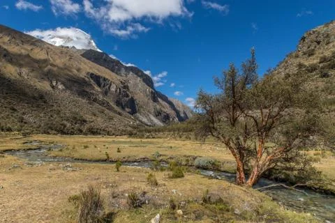River in the mountains Stock Photos