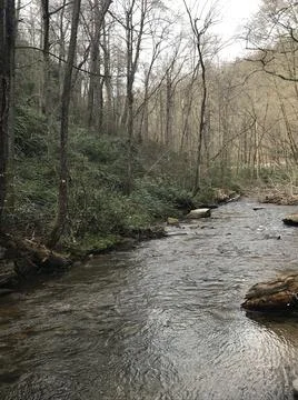 River in the Mountains Foto stock