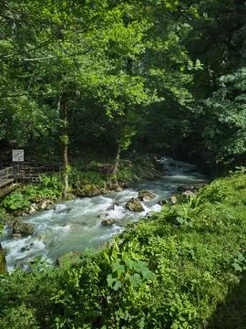 River in the mountains Stock Photos