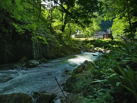 River in the mountains 스톡 사진