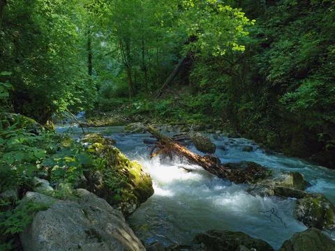 River in the mountains Stock Photos