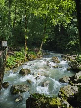 River in the mountains Foto stock