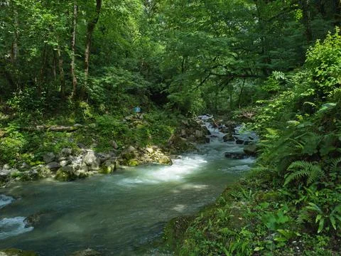 River in the mountains Stock Photos