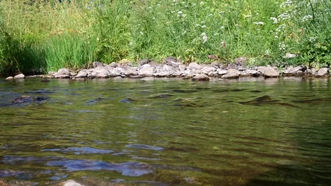 A river in the mountains. Spain Vidéo 115444965