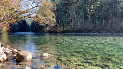 River in the mountains. Sunny fall day in PNW. Peaceful scenery Video stock 221209647