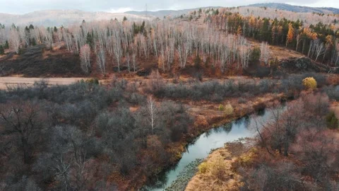 River in the mountains at sunset. Stock Footage 219420038