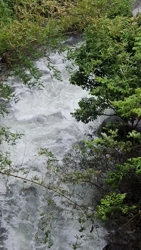 River in the mountains top view vertical Stock Footage 250158973
