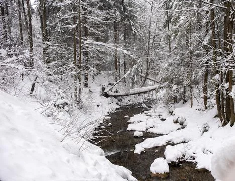 River in the mountains in winter Stock Photos