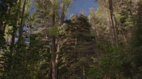 River in the mountians Stock Footage 204880547