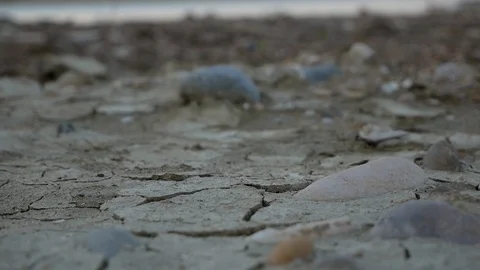 River Mouth Ground Stock Footage 97837281