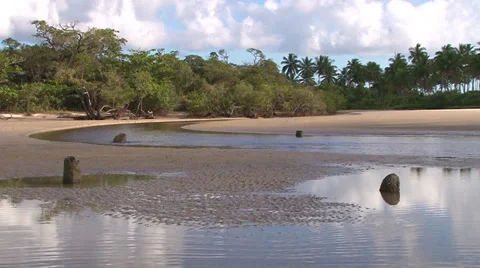River mouth in a mangrove place, northeast of Brazil Stock Footage