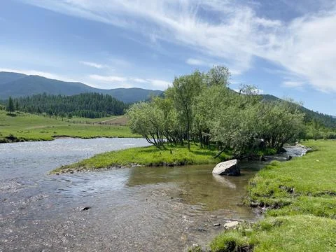 River mouth in a mountainous area, sunny day. Nature of mountainous Altai. Stock Photos