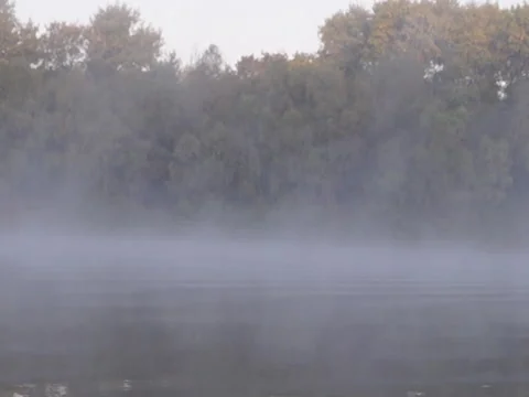 River, movement, morning Stock-Footage 41513751