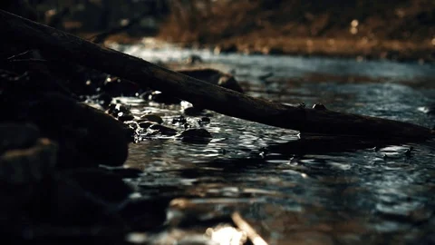 River movement, water, nature forest river stone Stock Footage