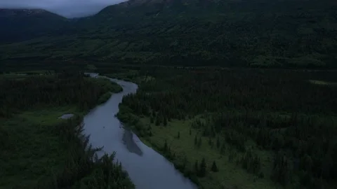 River Moving Through Forest on a Cloudy Day in Alaska Stock Footage 217849370