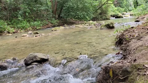 River Mulito flowing over mossy rocks in tropical jungle, Pedernales, DR Stock Footage 330085914