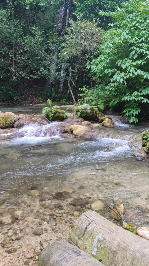 River Mulito flowing over mossy rocks in tropical jungle, Pedernales, DR Stock-Footage 330087814