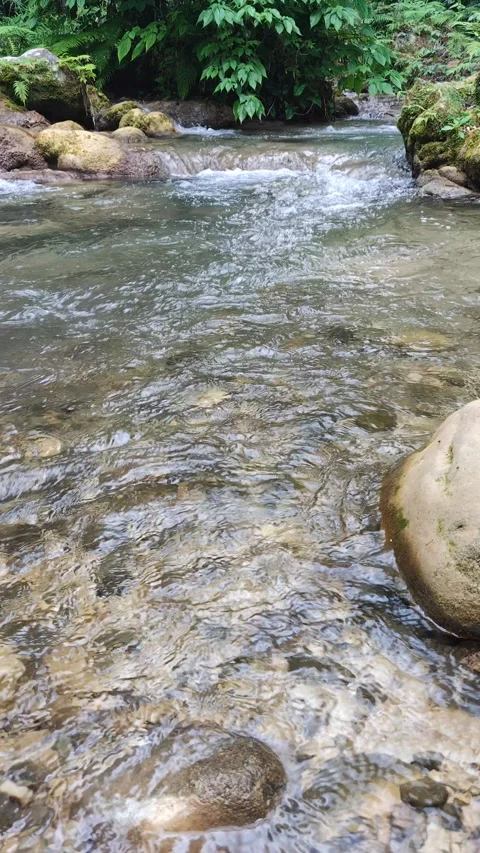 River Mulito flowing over mossy rocks in tropical jungle, Pedernales, DR Stock Footage 330087980