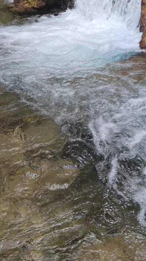 River Mulito flowing over mossy rocks in tropical jungle, Pedernales, DR Video stock 330088446