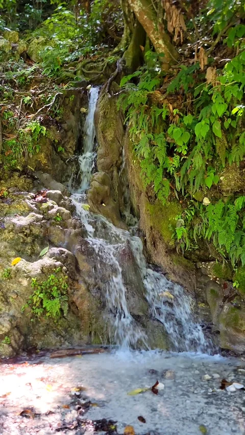 River Mulito flowing over mossy rocks in tropical jungle, Pedernales, DR Vidéo 334260353