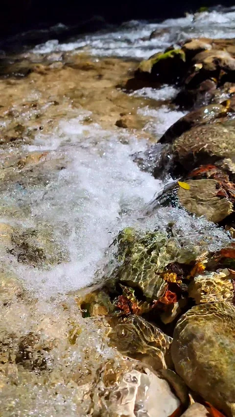 River Mulito flowing over mossy rocks in tropical jungle, Pedernales, DR Vidéo 334260746