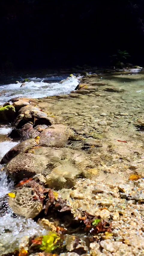 River Mulito flowing over mossy rocks in tropical jungle, Pedernales, DR Vidéo 334260771