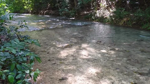 River Mulito flowing over mossy rocks in tropical jungle, Pedernales, DR Vidéo 334260909