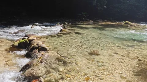 River Mulito flowing over mossy rocks in tropical jungle, Pedernales, DR Vidéo 334260976