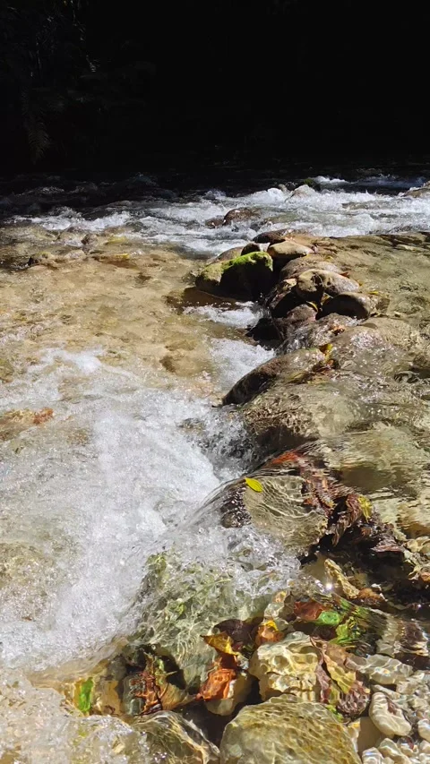 River Mulito flowing over mossy rocks in tropical jungle, Pedernales, DR Vidéo 334261445