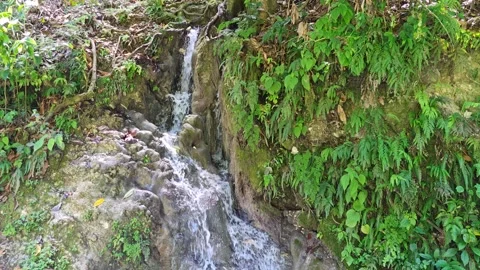 River Mulito flowing over mossy rocks in tropical jungle, Pedernales, DR Vidéo 334261624