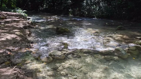 River Mulito flowing over mossy rocks in tropical jungle, Pedernales, DR Vidéo 334261959