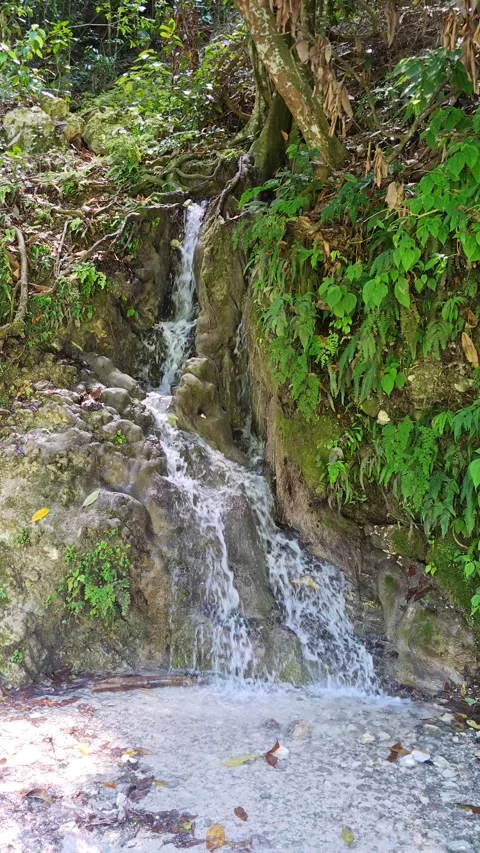 River Mulito flowing over mossy rocks in tropical jungle, Pedernales, DR Vidéo 334261980