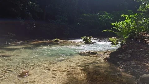 River Mulito flowing over mossy rocks in tropical jungle, Pedernales, DR Vidéo 334262049