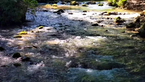 River Mulito flowing over mossy rocks in tropical jungle, Pedernales, DR Vidéo 334635742
