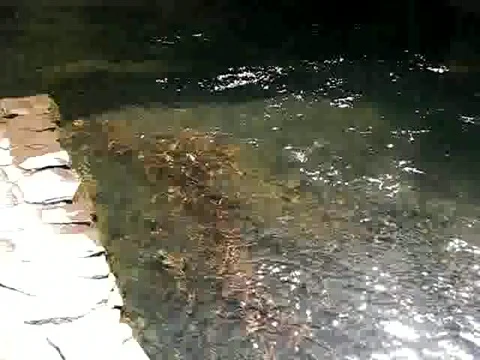 River in Multnomah Falls in Oregon Stock Footage 380897