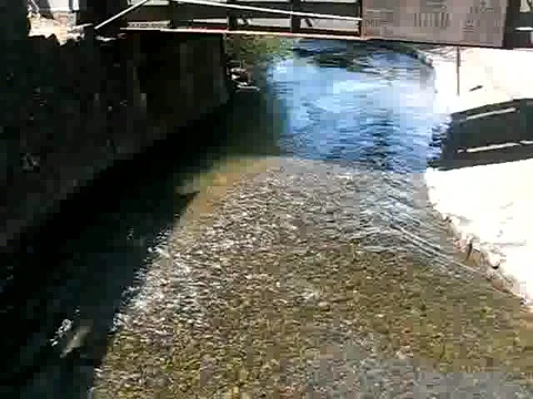 River in Multnomah Falls in Oregon Stock Footage 380900