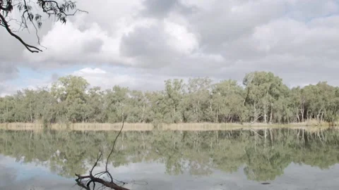 River Murray landscapes Stock Footage 238721527